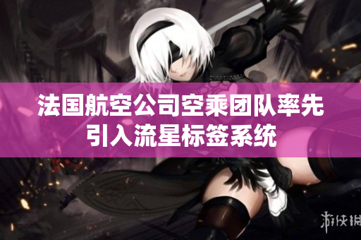 法国航空公司空乘团队率先引入流星标签系统