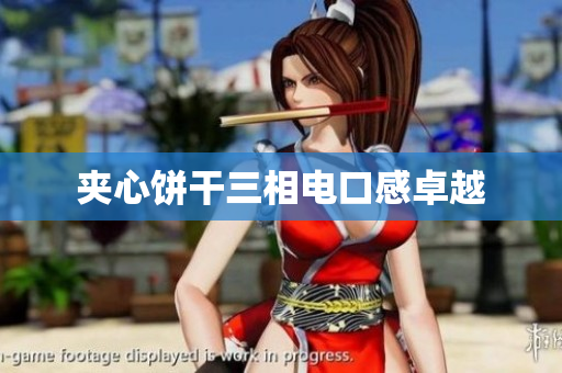 夹心饼干三相电口感卓越