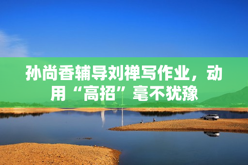 孙尚香辅导刘禅写作业，动用“高招”毫不犹豫
