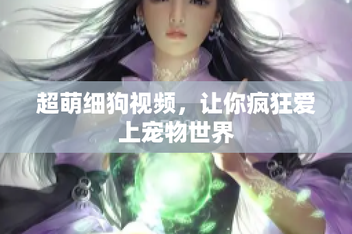 超萌细狗视频，让你疯狂爱上宠物世界