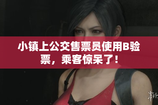 小镇上公交售票员使用B验票，乘客惊呆了！