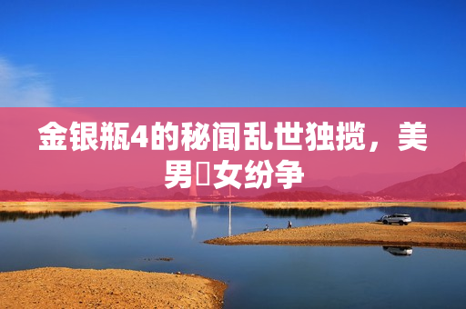 金银瓶4的秘闻乱世独揽，美男癡女纷争