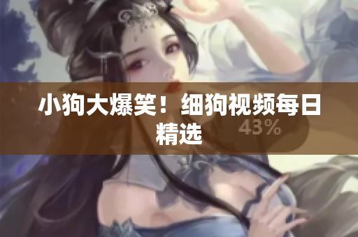 小狗大爆笑！细狗视频每日精选