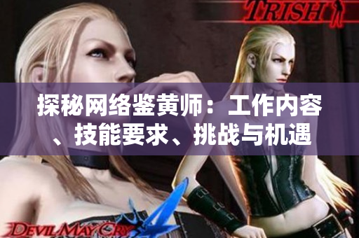 探秘网络鉴黄师：工作内容、技能要求、挑战与机遇