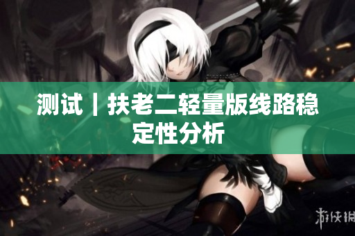 测试｜扶老二轻量版线路稳定性分析