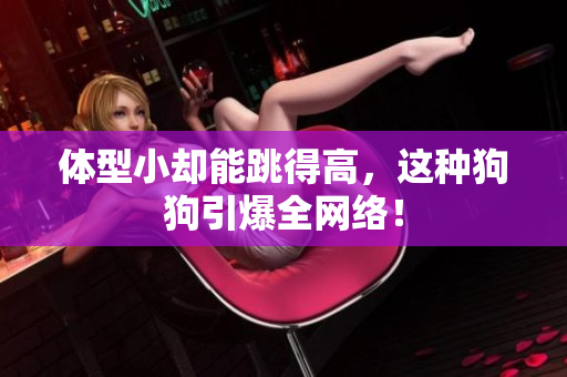 体型小却能跳得高，这种狗狗引爆全网络！