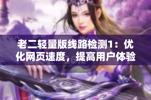 老二轻量版线路检测1：优化网页速度，提高用户体验