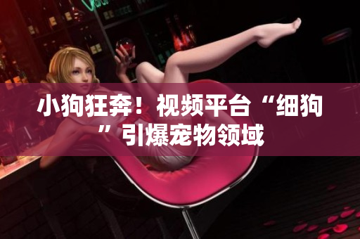 小狗狂奔！视频平台“细狗”引爆宠物领域
