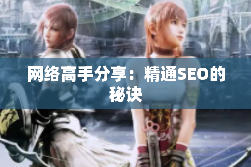 网络高手分享：精通SEO的秘诀
