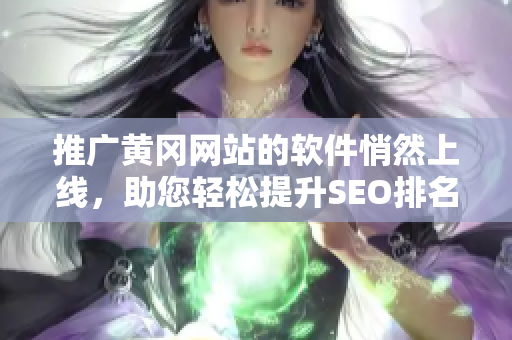 推广黄冈网站的软件悄然上线，助您轻松提升SEO排名