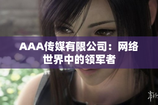 AAA传媒有限公司：网络世界中的领军者