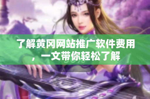 了解黄冈网站推广软件费用，一文带你轻松了解