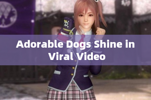 Adorable Dogs Shine in Viral Video