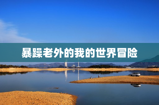 暴躁老外的我的世界冒险