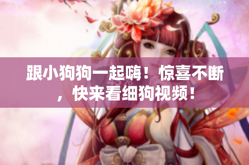 跟小狗狗一起嗨！惊喜不断，快来看细狗视频！