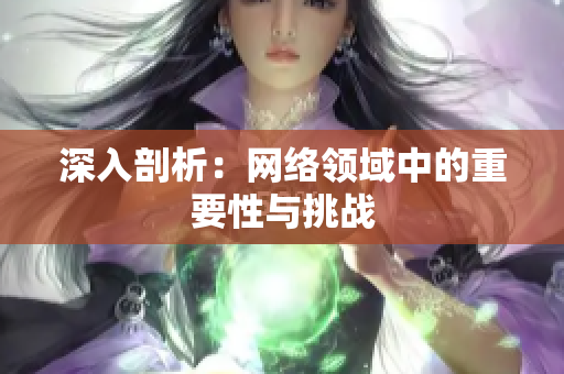 深入剖析：网络领域中的重要性与挑战