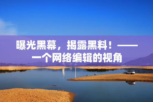 曝光黑幕，揭露黑料！——一个网络编辑的视角