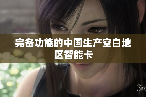完备功能的中国生产空白地区智能卡