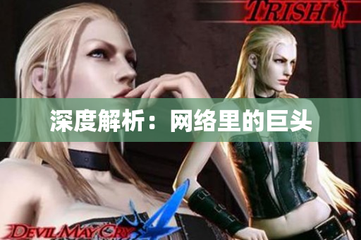 深度解析：网络里的巨头