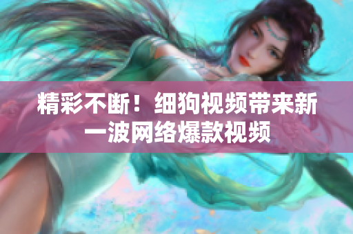 精彩不断！细狗视频带来新一波网络爆款视频