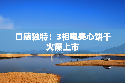 口感独特！3相电夹心饼干火爆上市