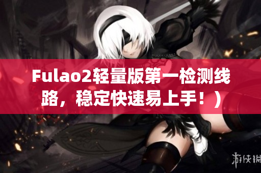 Fulao2轻量版第一检测线路，稳定快速易上手！)