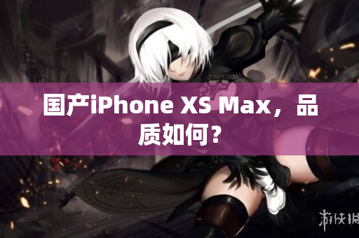 国产iPhone XS Max，品质如何？