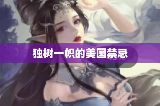 独树一帜的美国禁忌