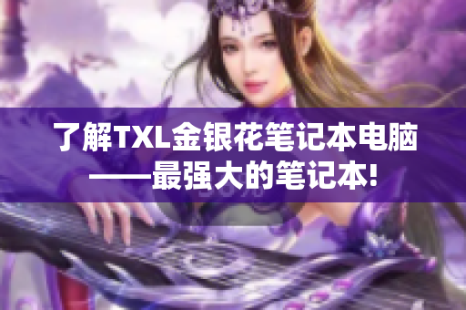 了解TXL金银花笔记本电脑——最强大的笔记本!