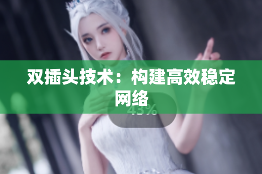 双插头技术：构建高效稳定网络