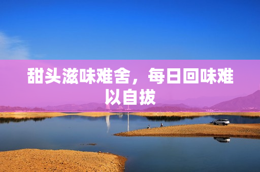 甜头滋味难舍，每日回味难以自拔