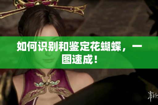如何识别和鉴定花蝴蝶，一图速成！