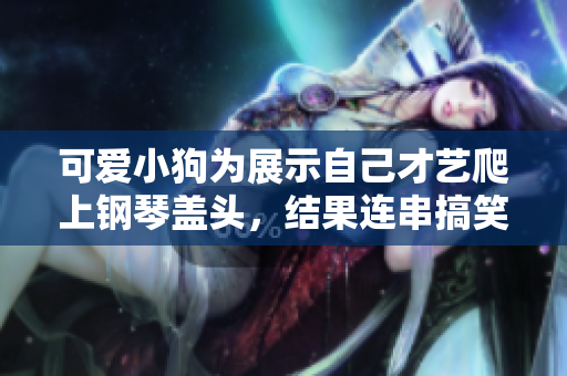 可爱小狗为展示自己才艺爬上钢琴盖头，结果连串搞笑事件发生