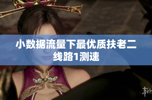 小数据流量下最优质扶老二线路1测速