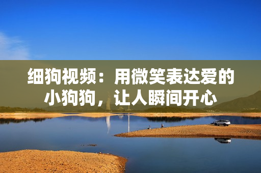 细狗视频：用微笑表达爱的小狗狗，让人瞬间开心
