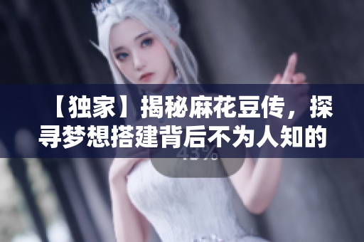 【独家】揭秘麻花豆传，探寻梦想搭建背后不为人知的故事！