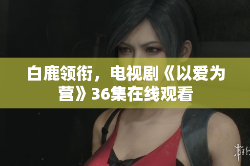 白鹿领衔，电视剧《以爱为营》36集在线观看