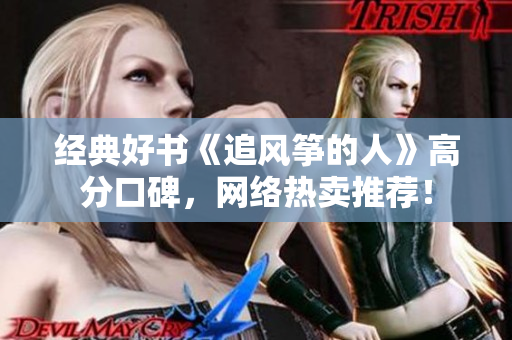 经典好书《追风筝的人》高分口碑，网络热卖推荐！