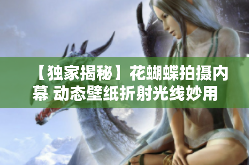 【独家揭秘】花蝴蝶拍摄内幕 动态壁纸折射光线妙用