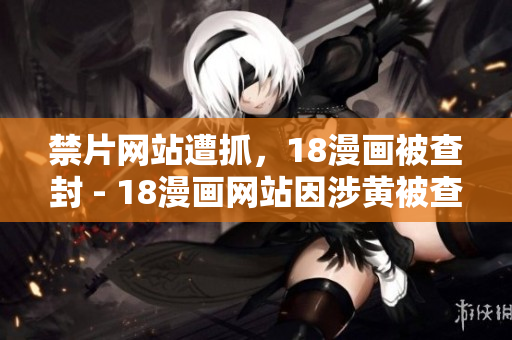 禁片网站遭抓，18漫画被查封 - 18漫画网站因涉黄被查封