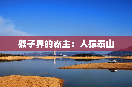 猴子界的霸主：人猿泰山