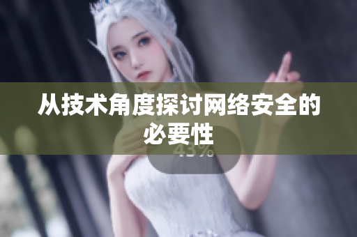 从技术角度探讨网络安全的必要性