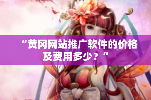 “黄冈网站推广软件的价格及费用多少？”