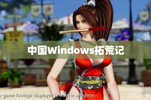 中国Windows拓荒记