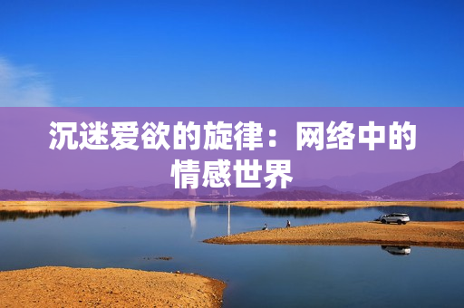 沉迷爱欲的旋律：网络中的情感世界