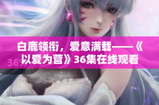 白鹿领衔，爱意满载——《以爱为营》36集在线观看