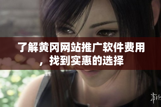 了解黄冈网站推广软件费用，找到实惠的选择
