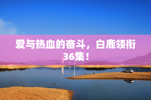 爱与热血的奋斗，白鹿领衔36集！