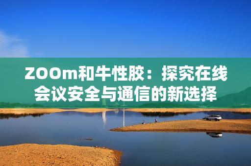ZOOm和牛性胶：探究在线会议安全与通信的新选择