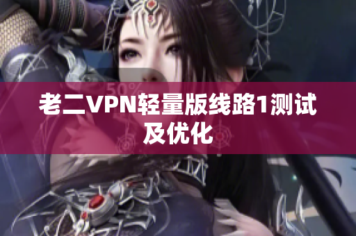老二VPN轻量版线路1测试及优化
